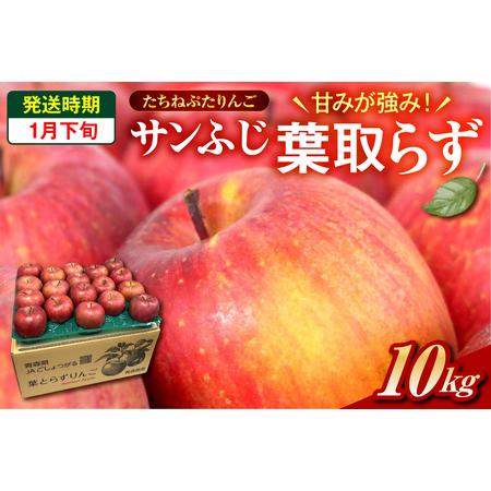 ふるさと納税 葉取らずサンふじ 約10kg[2026年1月下旬発送] たちねぷたりんご 青森県五所川原市 青森県五所川原市