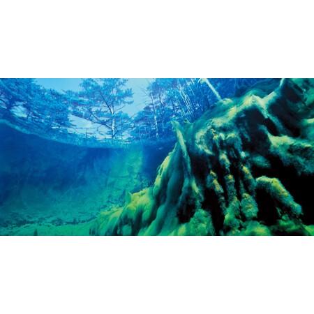 ふるさと納税 裏磐梯 五色沼湖沼群-日本の湖水地方 KBAF001 福島県北塩原村_2