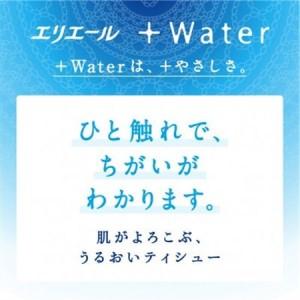 ふるさと納税 エリエール＋Waterティシュー180W5P【1681084】 岡山県津山市