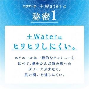 ふるさと納税 エリエール＋Waterティシュー180W5P【1681084】 岡山県津山市