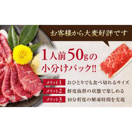 ふるさと納税 【全6回定期便】国産 霜降り馬刺し2種セット 約500g 馬刺し[AYBP007] 熊本県合志市の画像