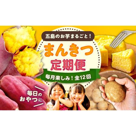 ふるさと納税 [12回定期便]五島の芋まんきつ定期便 五島市ふるさと納税/五島市[PZX052] 長崎県五島市