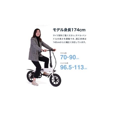 ふるさと納税 電動アシスト自転車 RICHBIT CITY ASSIST ゴールデン