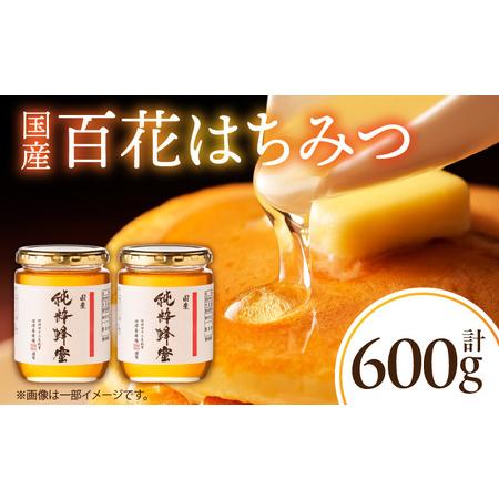 ふるさと納税 国産百花はちみつ300g×2本 料理 紅茶 ヨーグルト 宮崎県宮崎市