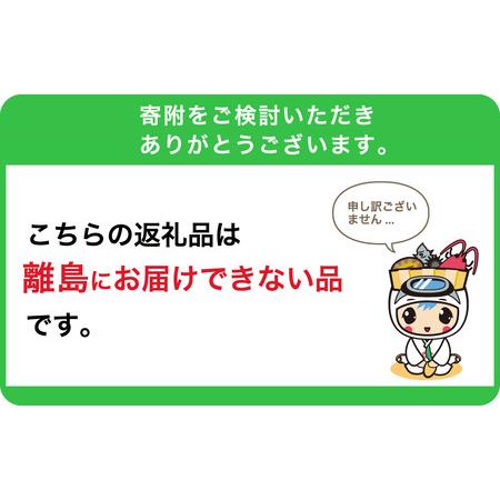ふるさと納税 【定期便】【3か月お届け定期便】南房総みねおか牛乳 1000ml×2本セット×3か月 mi0010-0021 千葉県南房総市_3