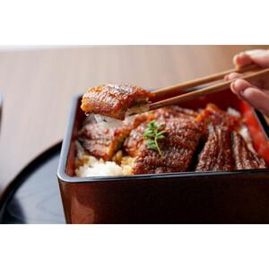 ふるさと納税 〈堀忠〉鰻蒲焼き 大2尾【配る会6回教科課程】〈高島屋より分ける品〉 大阪府堺市