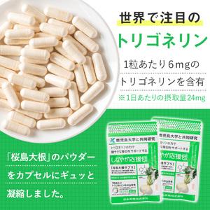 ふるさと納税 ＜定期便全3回＞桜島大根サプリ「しなやか応援団」(60粒入×2袋×3回) サプリメント 大根 健康食品【日本有機】T69 鹿児島県曽於市の画像