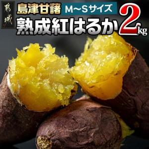 ふるさと納税 島津甘藷 熟成紅はるか 2kg(M〜S)_LB-A7-001-2kg_(都城市