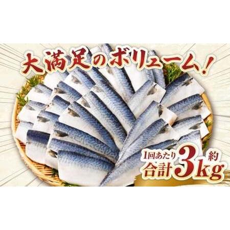 ふるさと納税 【6ヶ月定期便】【訳あり】国産 ふっくら 極み塩サバ 計約3kg ／ 1切れ 塩サバ 塩さば 塩鯖 さば サバ 鯖 魚 茨城県神栖市の画像