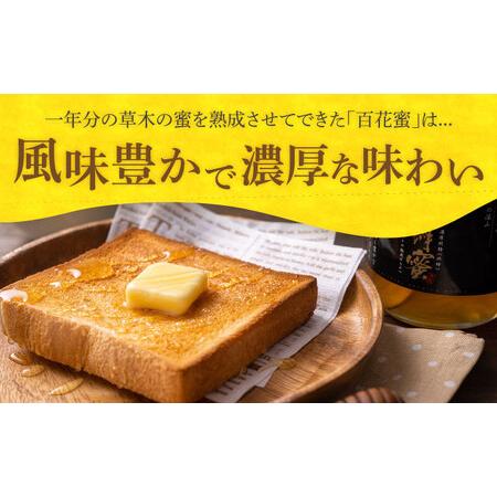 ふるさと納税 対馬 和蜂 はちみつ 300g×1本 《対馬市》【特定非営利活動法人 對馬次世代協議会（対馬コノソレ）】 蜂蜜 ハチミツ 日本ミツ.. 長崎県対馬市の画像