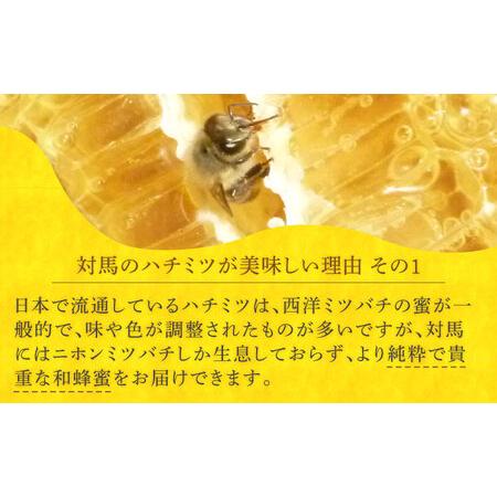 ふるさと納税 対馬 和蜂 はちみつ 300g×1本 《対馬市》【特定非営利活動法人 對馬次世代協議会（対馬コノソレ）】 蜂蜜 ハチミツ 日本ミツ.. 長崎県対馬市の画像