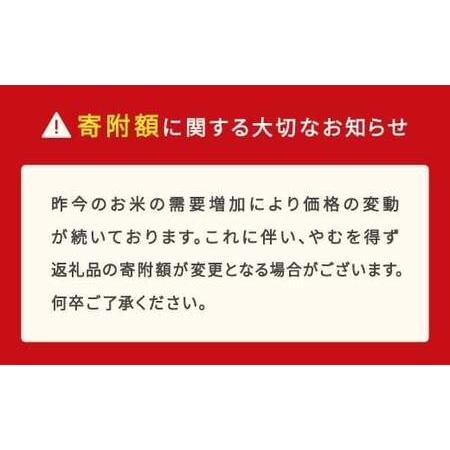 ふるさと納税 令和7年産 はえぬき 玄米 30kg mk-haxxa30-g 山形県村山市の画像