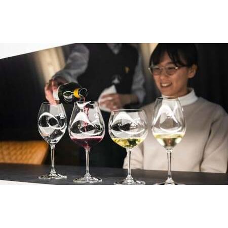 ふるさと納税 工場見学 『 ワイナリーツアー満喫フルコース 』(1名様分利用券) 〜醸造見学&プレミアム試飲体験〜 ツアー ワイナリー ワイン .. 北海道小樽市