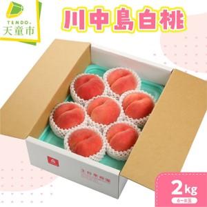 ふるさと納税 桃 川中島 白桃 2kg 山形 山形県天童市
