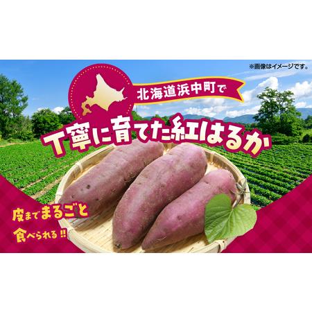 ふるさと納税 紅はるかの冷凍焼き芋(計1kg)_H0049-103 北海道浜中町の画像