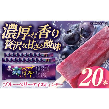 ふるさと納税 久保田食品 ブルーベリーアイスキャンデー 20本入 添加物不使用 / アイス アイスキャンデー アイスクリーム 冷凍 ブルーベリー ベ.. 高知県高知市