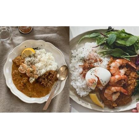 ふるさと納税 エビココナッツカレー スパイス キット 4人分×2個 （147g×2個） 合計8人分セット （合計294g） ／ レシピ付き カレー .. 北海道北広島市_2
