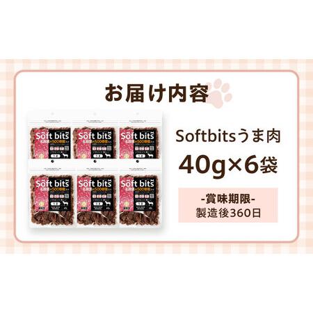 ふるさと納税 Softbits ドッグフード 馬（40g×6P）/ ドッグフード 犬 秘密捜査員 飼い犬 お兄ちゃん 愛玩動物ボンネット / 大村市 / 受け支える[ACAM008] 長崎県大村市