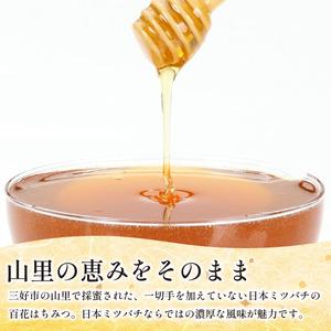 ふるさと納税 日本みつばち 蜂蜜600g はちみつ 山里の和蜜【蜂蜜】 徳島県三好市の画像