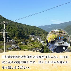 ふるさと納税 日本みつばち 蜂蜜600g はちみつ 山里の和蜜【蜂蜜】 徳島県三好市の画像