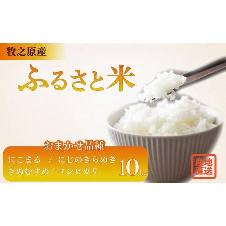 ふるさと納税 お米 10kg 品種 おまかせ [ にこまる にじのきらめき きぬむすめ コシヒカリ ]牧之原市 大塚ファーム 静岡県牧之原市