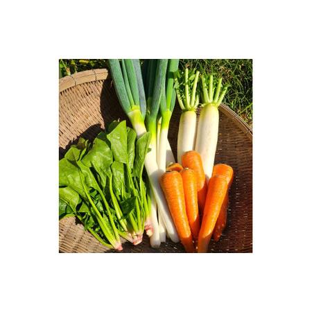 ふるさと納税 [先行予約][訳アリ]朝採れ!アグリ福ちゃん 冬野菜セット(5種類) 旬 野菜 冬野菜 セット [2026年12月上旬-2027年2月.. 鹿児島県薩摩川内市
