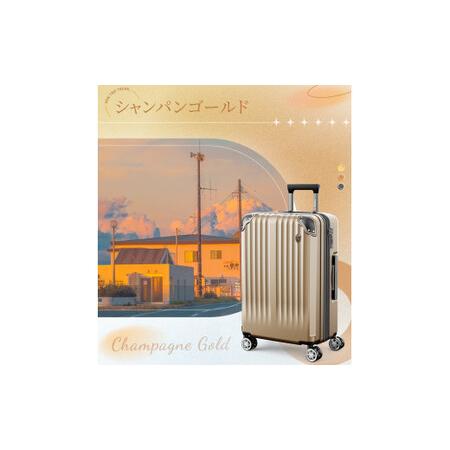 ふるさと納税 NEWTRIP0201p　スーツケース　シャンパンゴールド　Lサイズ　【11100-2015】 埼玉県さいたま市の画像
