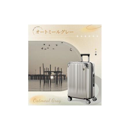 ふるさと納税 NEWTRIP0201p　スーツケース　オートミールグレー　Mサイズ　【11100-2026】 埼玉県さいたま市の画像