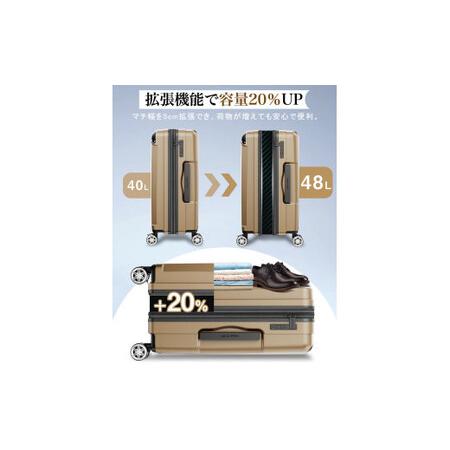 ふるさと納税 NEWTRIP0201p　スーツケース　オートミールグレー　Mサイズ　【11100-2026】 埼玉県さいたま市の画像