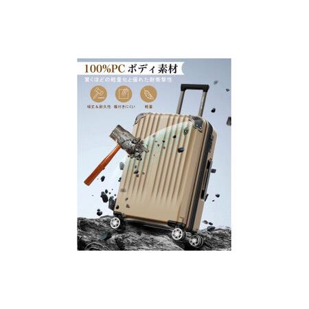 ふるさと納税 NEWTRIP0201p　スーツケース　オートミールグレー　Lサイズ　【11100-2027】 埼玉県さいたま市の画像