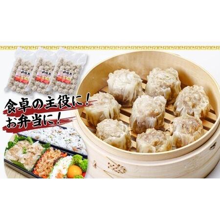 ふるさと納税 肉焼売 ジャンボサイズ 100個セット 冷凍 電子レンジ しゅうまい 群馬県前橋市 : ふるなび(ふるさと納税) - 通販 ...