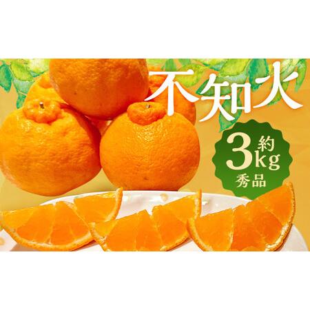 ふるさと納税 春の柑橘 不知火 約3kg 秀品 柑橘 フルーツ長崎県 時津町産 [2026年2月下旬〜3月下旬迄発送予定] 長崎県時津町