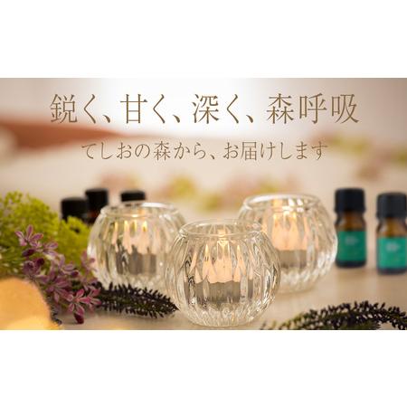 ふるさと納税 最北のトドマツ精油４ml エッセンシャル・オイル トドマツ ×2 北海道天塩町の画像