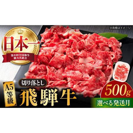 ふるさと納税 [12月発送][飛騨牛] 切り落とし 500g 和牛 ブランド牛 国産 牛肉 多治見市 / 渡辺精肉店 [TAZ004-12] 岐阜県多治見市