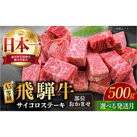 ふるさと納税 [11月発送]飛騨牛 サイコロステーキ 部位おまかせ 500g A5等級 和牛 ブランド牛 国産 牛肉 多治見市 / 渡辺精肉店 [TAZ038-11] 岐阜県多治見市
