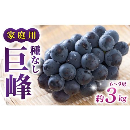 ふるさと納税 [先行受付2026年発送][さとのみ果樹園]家庭用種なし巨峰 約3kg(6〜9房)※2026年9月上旬以降順次発送 長野県東御市