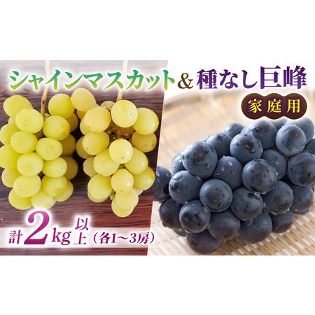 ふるさと納税 [先行受付2026年発送]家庭用シャインマスカット&種なし巨峰 合計2kg以上(各1〜3房)|さとのみ果樹園 ※2026年9月中旬以降上.. 長野県東御市
