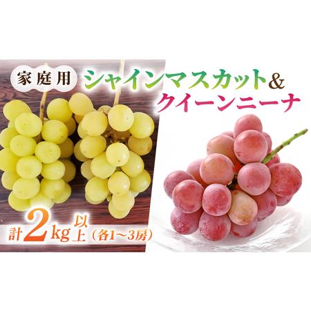 ふるさと納税 [先行受付2026年発送]家庭用シャインマスカット&クイーンニーナ 合計2kg以上(各1〜3房)|さとのみ果樹園※2026年9月中旬〜10.. 長野県東御市