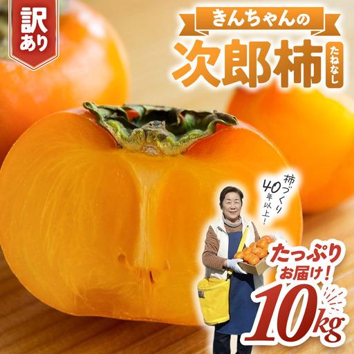 ふるさと納税 柿[2026年度発送分]きんちゃん農園のたねなし柿(家庭用・訳あり)約10kg[KCN-03] 三重県多気町