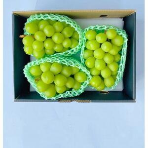 ふるさと納税 [発送月固定定期便]★2026年度 先行予約シャインマスカット2.0kg 3-4房全2回[配送不可地域:離島・沖縄県][4069967] 山梨県山梨市