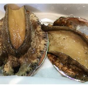 ふるさと納税 [2ヵ月毎定期便]竹中水産の大アワビ(400g)+アジ又は小鯛付き400g[H22-288]全3回[配送不可地域:離島・北海道・沖縄県][4.. 愛媛県八幡浜市