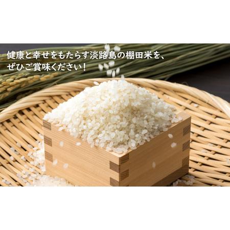 ふるさと納税 【定期便】健幸農園の棚田米 10kg×3ヵ月セット 白米 兵庫県淡路市の画像