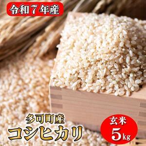 ふるさと納税 玄米 お米 5kgコシヒカリ 兵庫県多可町産 [1292] 兵庫県多可町