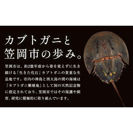 ふるさと納税 レザー 革製 カブトガニ 幼生 タックピン 革 ネイビー JS stage株式会社 《30日以内に出荷予定(土日祝を除く)》岡山県 笠岡市 ハン.. 岡山県笠岡市の画像