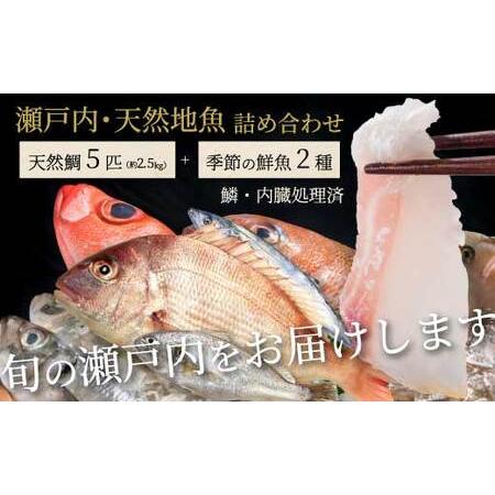 ふるさと納税 瀬戸内産 天然鯛 約2.5kg(500g×5匹/鱗・内臓処理)・鮮魚2種 詰め合わせ 地魚 鯛 天然鯛 真鯛 天然 鮮魚 下処理済 瀬戸内 広.. 広島県三原市