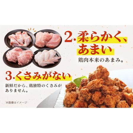 ふるさと納税 【全6回定期便】 ありたどり よりどりセット B（ムネ・モモ・手羽先・手羽元） 【肉の三栄】 ありた鶏 むね むね肉 ムネ 手羽 もも.. 佐賀県江北町の画像