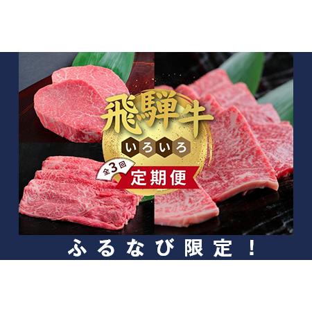 ふるさと納税 [ふるなび限定][定期便]飛騨牛いろいろ定期便 3ヶ月Bセット ※離島への配送不可 FN-Limited-SP 岐阜県瑞穂市
