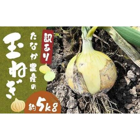 ふるさと納税 [先行予約] [訳あり] たなか農産の柳川産 玉ねぎ 約5kg [2026年6月下旬〜8月上旬迄順次発送予定] 訳アリ 理由あり わけあり .. 福岡県柳川市