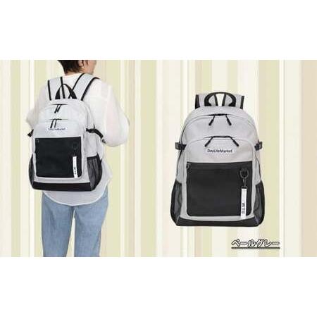 ふるさと納税 撥水、軽量、ポケット多数、ボックスロゴがお洒落な 10ポケット 24L ペールグレー WZ013-4 福岡県篠栗町