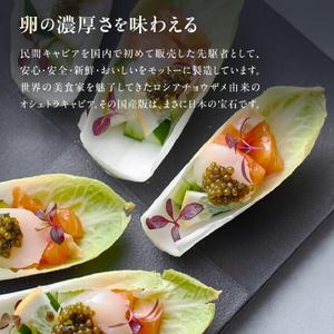 ふるさと納税 【純国産キャビア】オシェトラキャビア 100g 天津御姉の涙 国産 チョウザメ 魚卵 宮崎県 小林市 宮崎県小林市